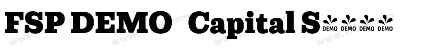 FSP DEMO   Capital S字体转换